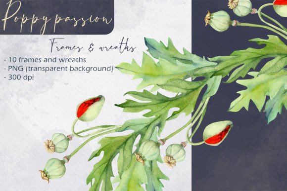 Download Poppy Passion: Frames and Wreaths - Frame Collection